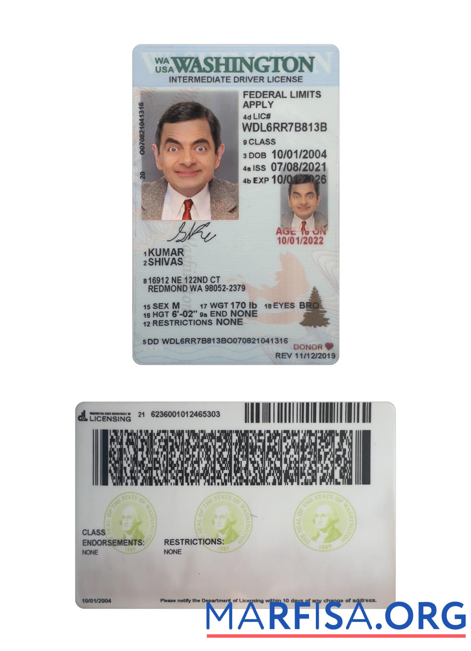 Printable USA Washington under 21 intermediate driving license sample